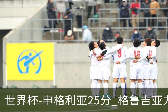 世界杯-申格利亚25分 格鲁吉亚力克委内瑞拉